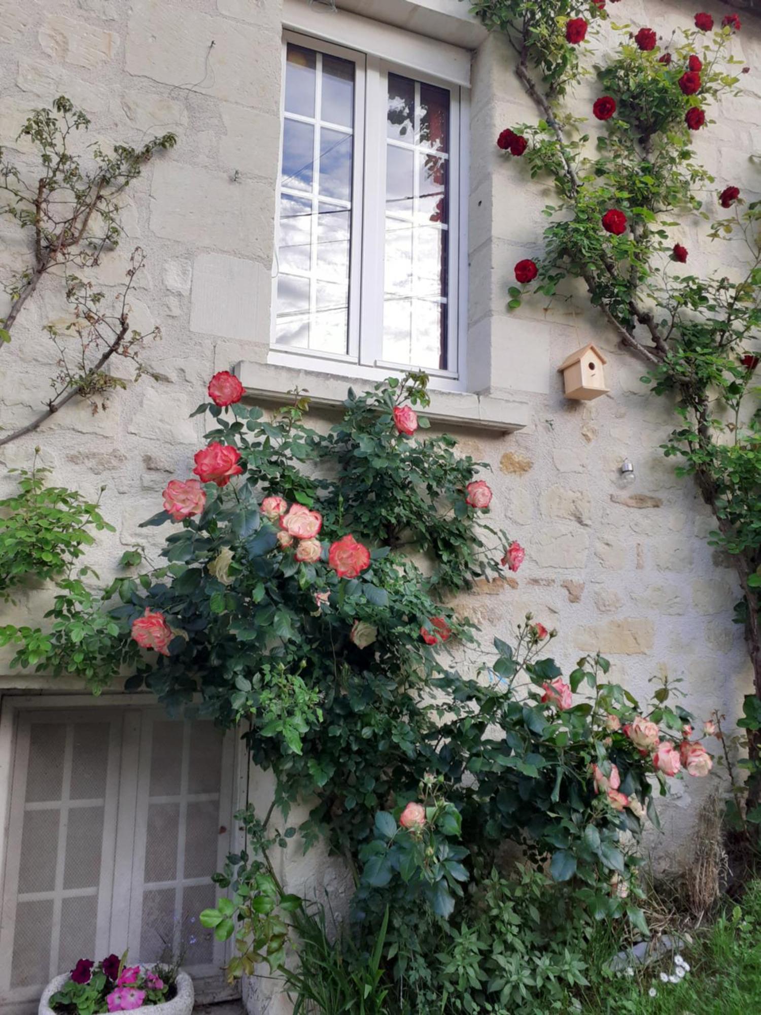Esprit Troglo Villa Beaumont-en-Véron Buitenkant foto